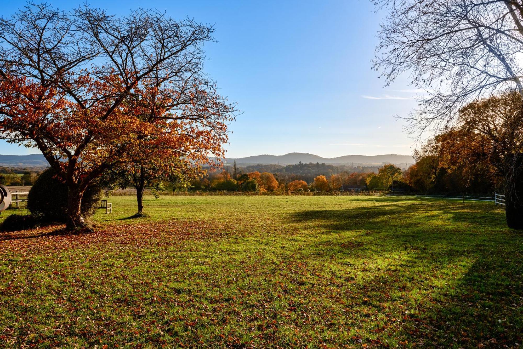 Stunning Cabin With Incredible Views Near Goodwood Rogate Exterior foto