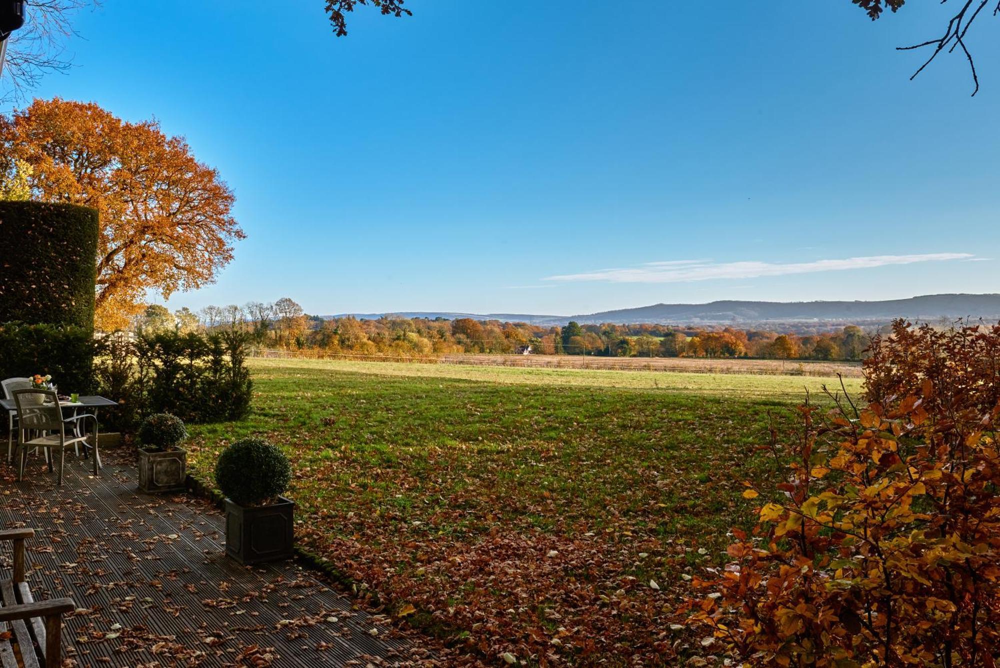 Stunning Cabin With Incredible Views Near Goodwood Rogate Exterior foto