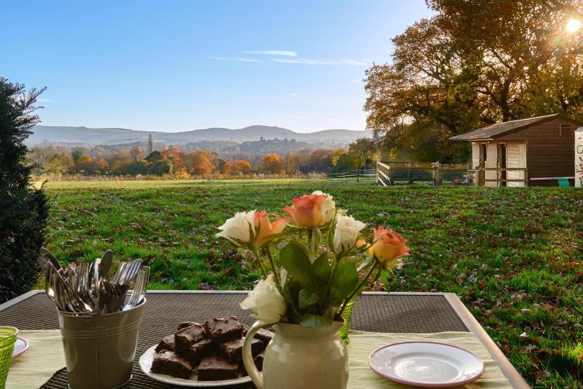 Stunning Cabin With Incredible Views Near Goodwood Rogate Exterior foto